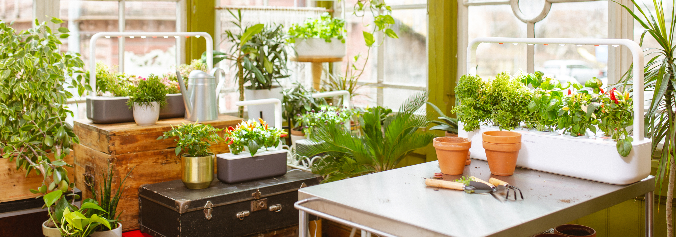 Click & Grow Subscription